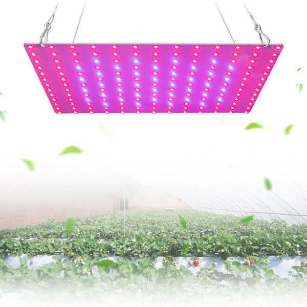 LED Växtlampor för inomhusväxter Fullspektrum 12W Panel Växtlampa