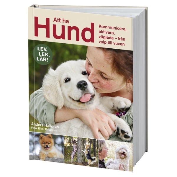 At have en hund 9789155269166