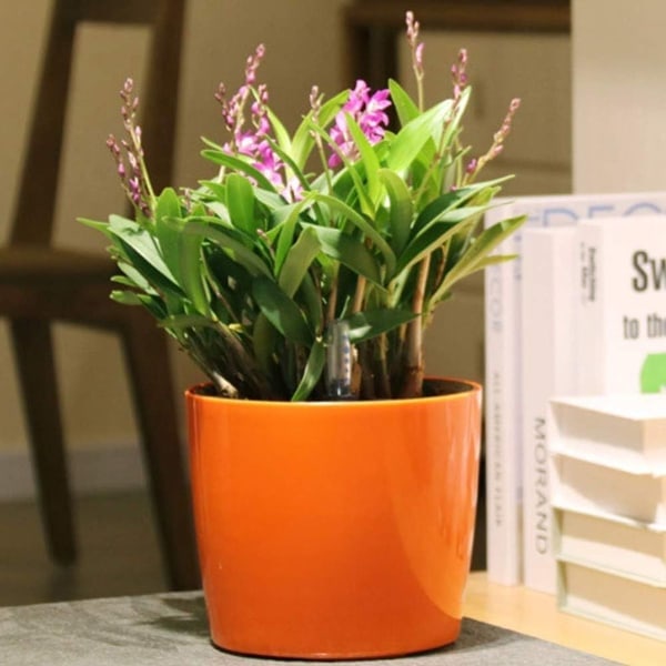Runda självvattnande blomkruka med vattenindikator för inomhusbruk