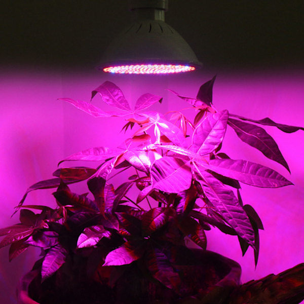 200LED Plantelampe Enkelt Hoved LED Plantevækstlys til Have Drivhus 85V-265V