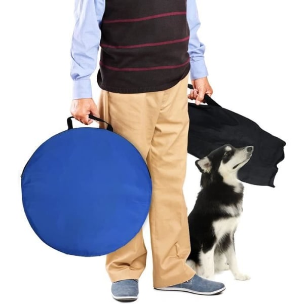 NAIZY Agility Sport för hundar Hinderträningsutrustning för hundar med slalomstänger, ring, tunnel, blå och orange
