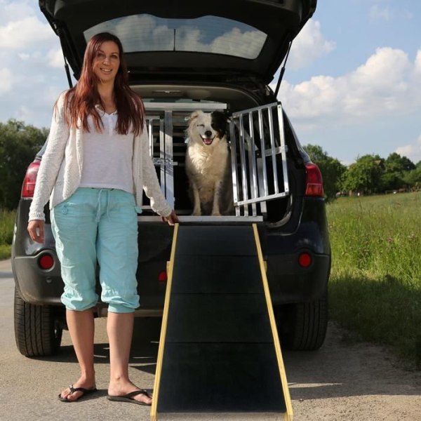 NAIZY 2-i-1 hundtrappa för små hundar och kattungar Vikbar, lastkapacitet upp till 80 kg