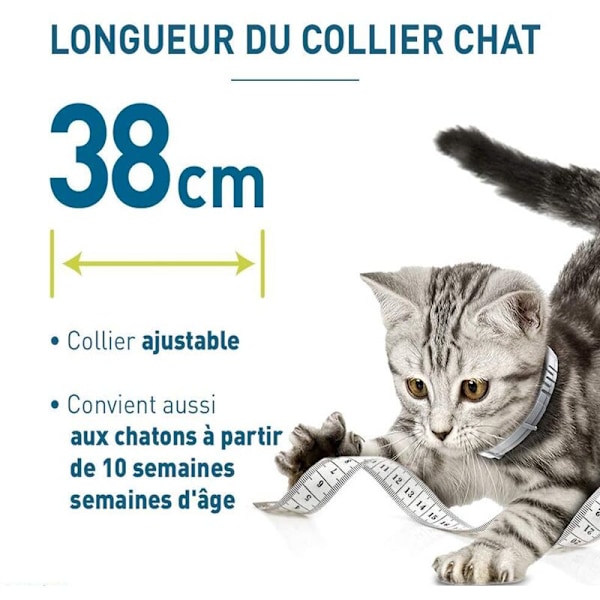 Bayer Solai Multi-Ormekur Halsbånd til Kæledyr Kat og Hund Loppeafvisende Europæisk Version Killing 38CM
