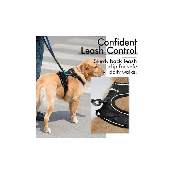 Reflekterande Nylon Stor Medium Hundsele (Svart, L)