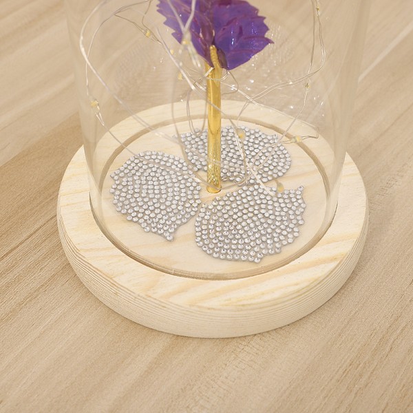 Præserveret Blomst Glas Cover Guldfolie Rose Blomst med LED Varmt Lys, Valentinsdag og Julegaver (04)