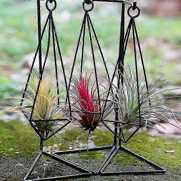 4-pack lättskötta luftväxter för inomhusinredning, ingen jord krävs, lättskött Tillandsia för vasarrangemang i hemmet