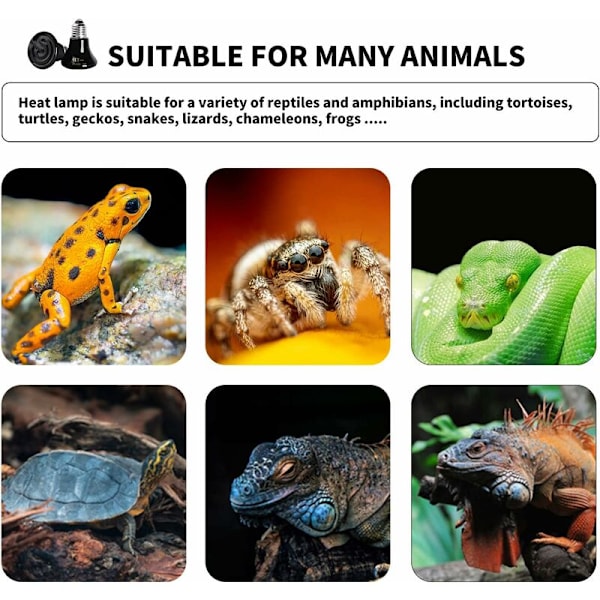 E27 75W Keramisk Varme Pære Hvid Keramisk Varmelampe 220-240V Infrarød Varmelampe til Kylling Reptil Skildpadde Hvalp Kanin Terrarium (2 stk)