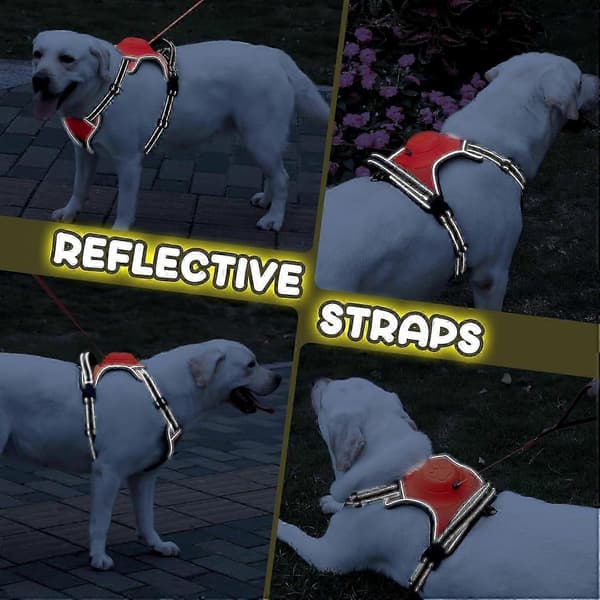Hundsele för stora hundar, \"No Pull\" hundsele, infällbart hundkoppel RÖD RED