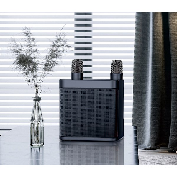 Familje KTV Ljudset, Trådlös Bluetooth Dubbel Mikrofon Högtalare Allt-i-Ett Maskin (Svart)