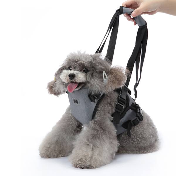 Multifunktionell hundsele med handtag L L