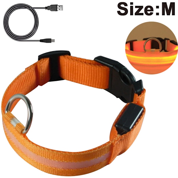 Uusi valoa lähettävä koiran panta USB-latauksella, suuri ja pieni LED-lemmikkipanta oranssi lataus M