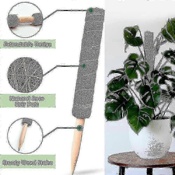 2-pack mossstöd för klätterväxter, 30 cm växtstöd för inomhusodling av rankor