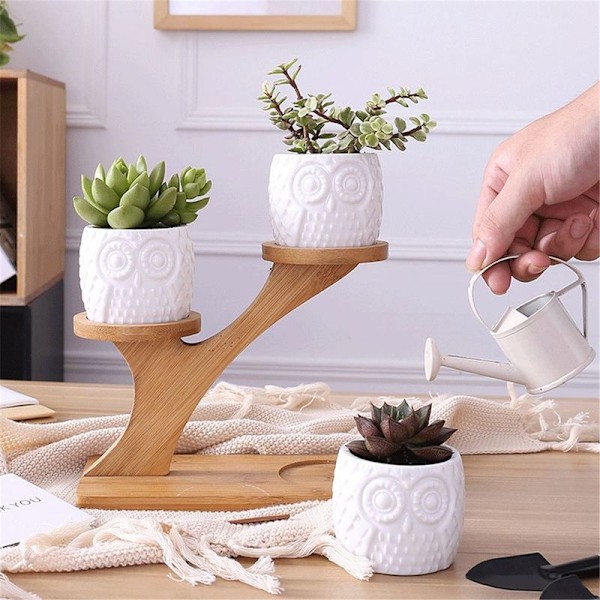 3 kpl/setti Mehitäiskasvien ruukut Bonsai-ruukku Bambu kasviteline setit Sasicare