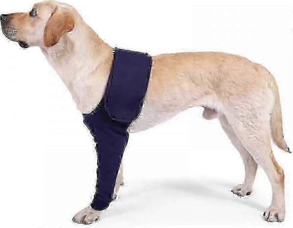 Hunde anti-slikke ærmer til skader
