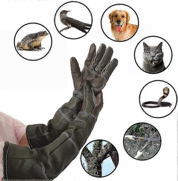 Anti-Bite Läderhandskar för Djurhantering Reptiler Katter Skydd Säkerhet