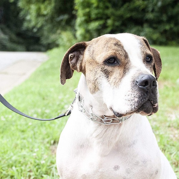 Pigg halsbånd til hundetræning med hurtigudløser spænde, krom stål kæledyrshalsbånd, anti-træk halsbånd til hunde, anti-træk træningshalsbånd, Style 2