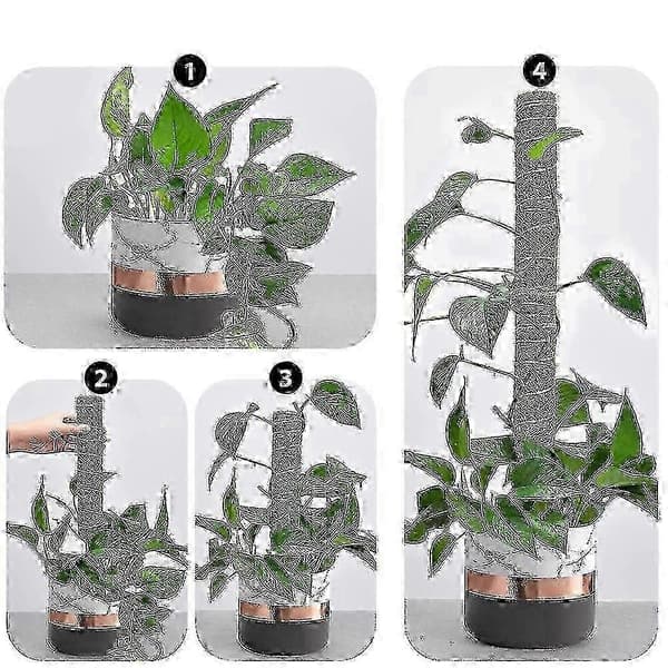 2-pack mossstöd för klätterväxter, 30 cm växtstöd för inomhusodling av rankor
