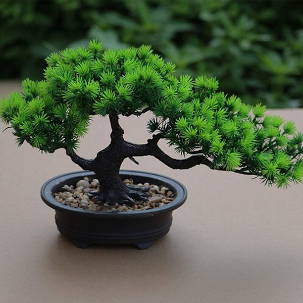 Grön växt bonsai dekorationer långlivighet grön tall