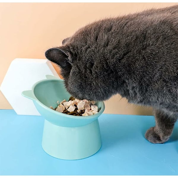 Katte Skål Hunde Skål Hævet Katte Skål, Anti Opkast Katte Skål, Skridsikker Mad- og Vandskål, til Katte med Fladt Ansigt Små Hunde (Grøn)