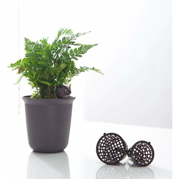 Haveredskaber plastik jade gødningsboks med låg stor 4*6 kaffe jade gødningsboks 10 stk