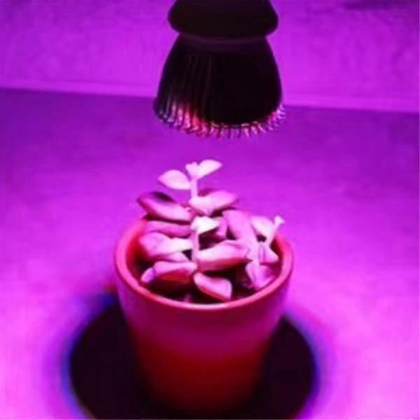 2 stk. E14 Plantegroeilys 85-265V Fuld Spektrum LED Groelys til Hydroponisk Indendørs Have 28W