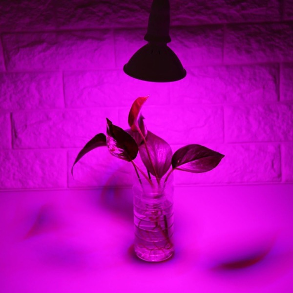 E27 24W 85V-265V 200LED Växtlampa Odla Lampa används för vattenlevande hydroponisk tillväxt, strålvinkel är 120 grader (200LED E27 Växtlampa)