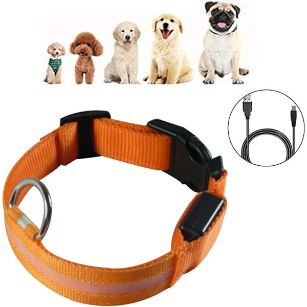 Uusi valoa lähettävä koiran panta USB-latauksella, suuri ja pieni LED-lemmikkipanta oranssi lataus M