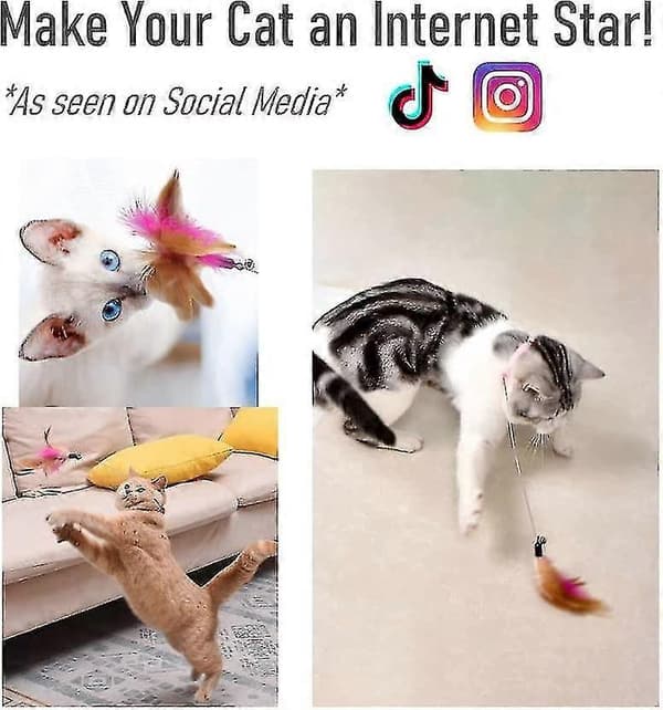Fjerkravelegetøj til katte til interaktiv leg og sjov motion