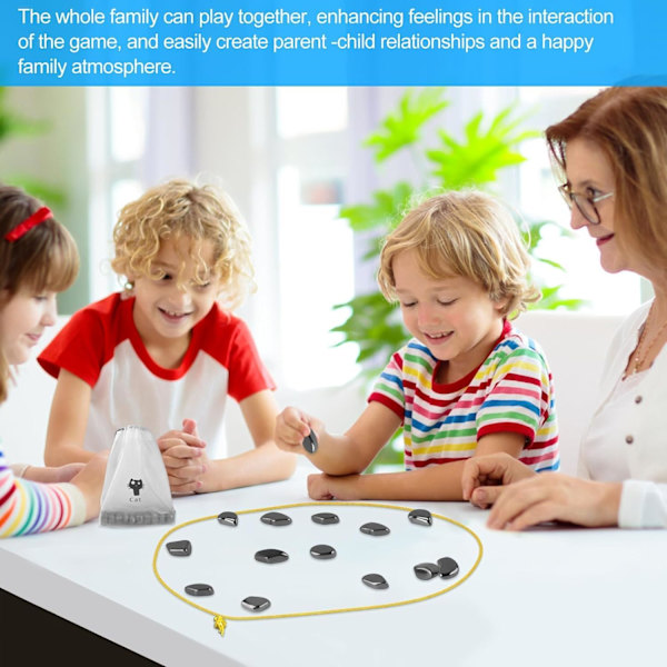 Cluster Magnetiskt Action Brädspel 14+ utgåvor Nytt