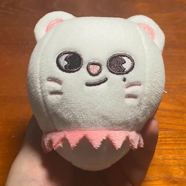 Kpop Stray Kids SKz Plushies 5 Star Dome Tour 2023 Straykids Plys Nøglering Kawaii Tegneserie Dyr Dukke Legetøj Figur Ornament