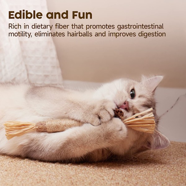 PCS/3 PCS/5 PCS Catnip Katt Leksaker Tugga Pinnar för Katt Naturlig Silvervine Husdjur Tänder 5pcs 5pc 5 pcs gall fruits