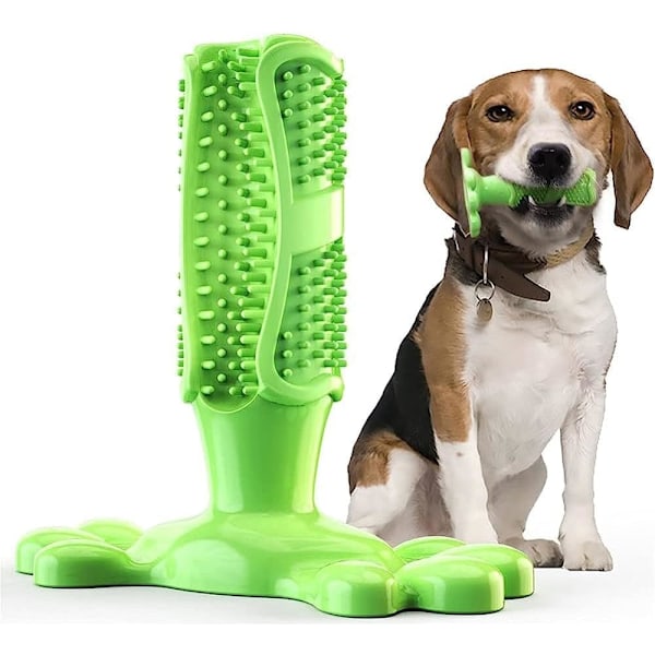 Hunde tyggelegetøj hundetandbørste tænder rengøring legetøj hund kæledyr tandbørster børste pind/D/medium