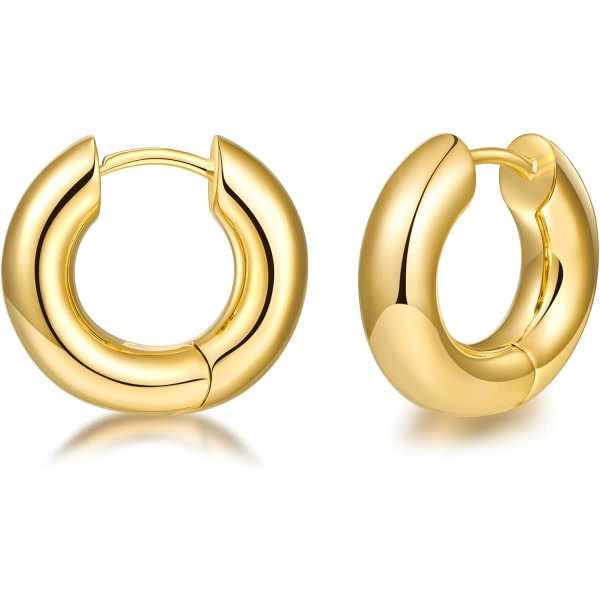 Chunky Gold Hoop örhängen för kvinnor Söt mode hypoallergena