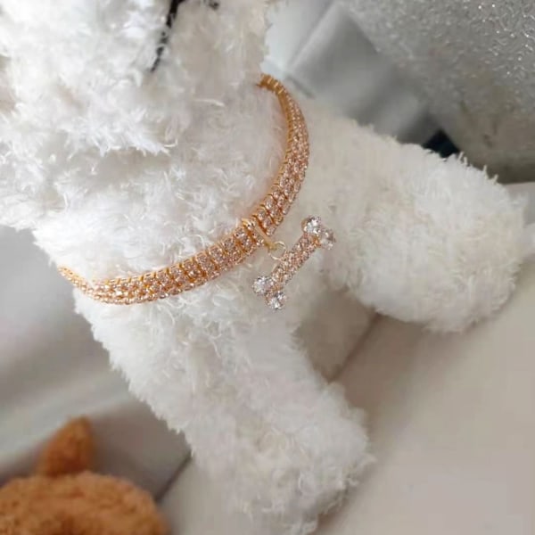 Halsband för husdjur, hund, zirkonben, halsband, guld, guld Gold S