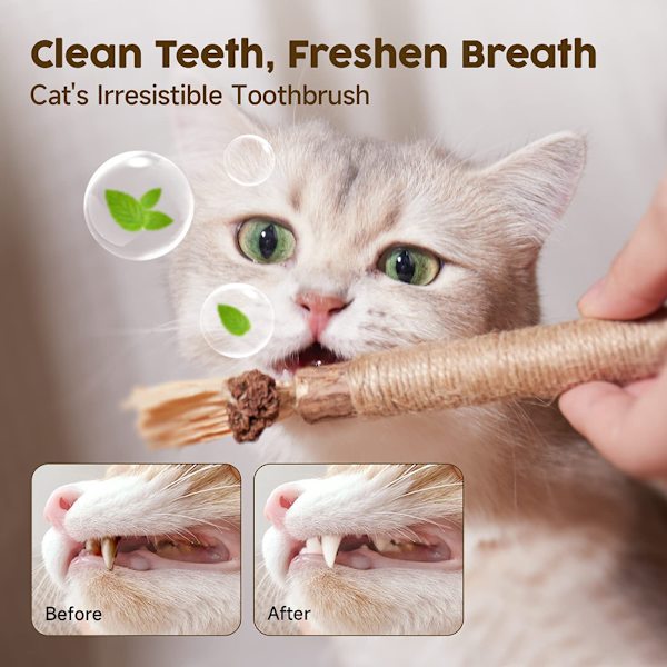 PCS/3 PCS/5 PCS Catnip Katt Leksaker Tugga Pinnar för Katt Naturlig Silvervine Husdjur Tänder 5pcs 5pc 5 pcs gall fruits