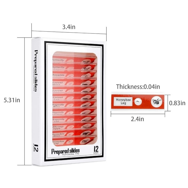 Mikroskopglas Mikroskop prøve præparerede glas RØD