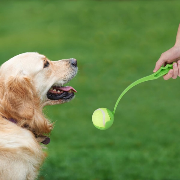 Kastare set om 2, 5 tennisbollar ingår, för hundar, grön-blå