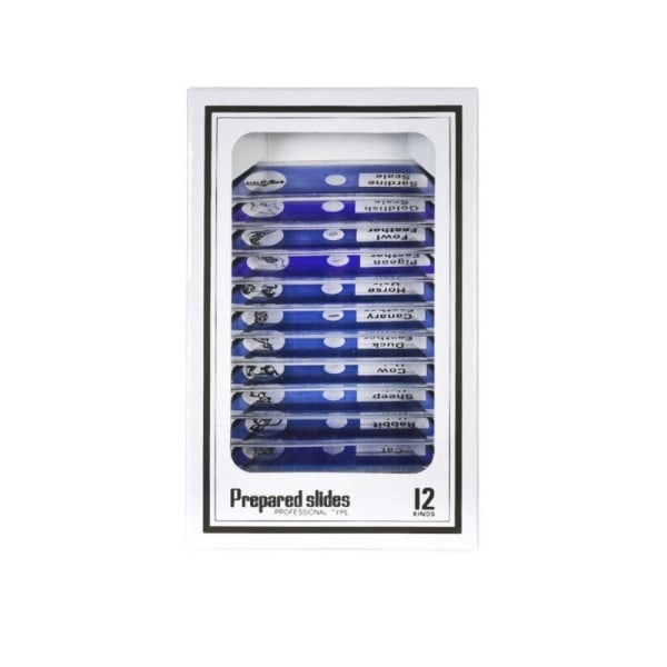 Slides Forbered slides Blue