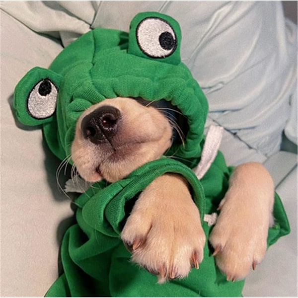 Sjov Frø Hund Hoodie, Hundetrøje Sød Æble Banan Frø Varmt Ja