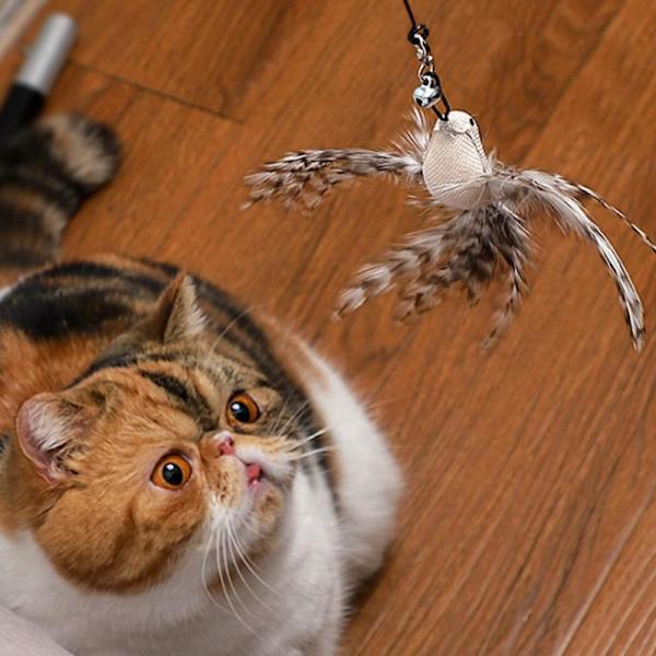 Simulerad fågel interaktiv katt leksak Rolig fjäderfä B（Suction cup style）