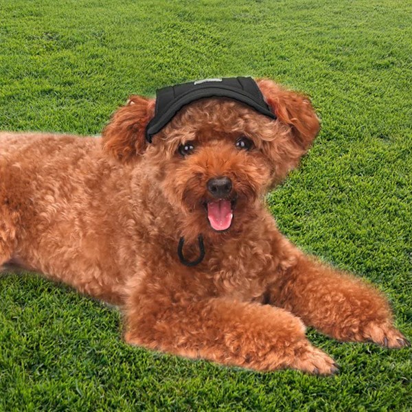 Hundehette, Baseballcaps for kjæledyr/Hundesportscaps/Solskjerm med ørehull og hakerem for hunder og katter