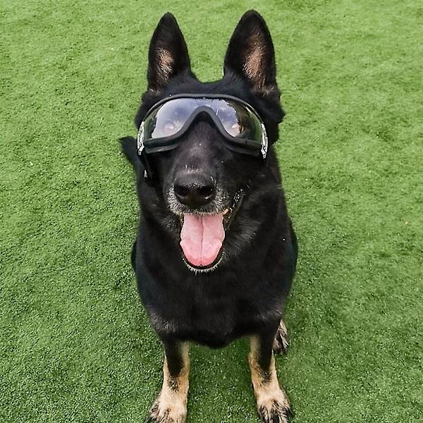 Hunde solbriller kæledyr solbriller øjenbeskyttelse vandtæt vindtæt