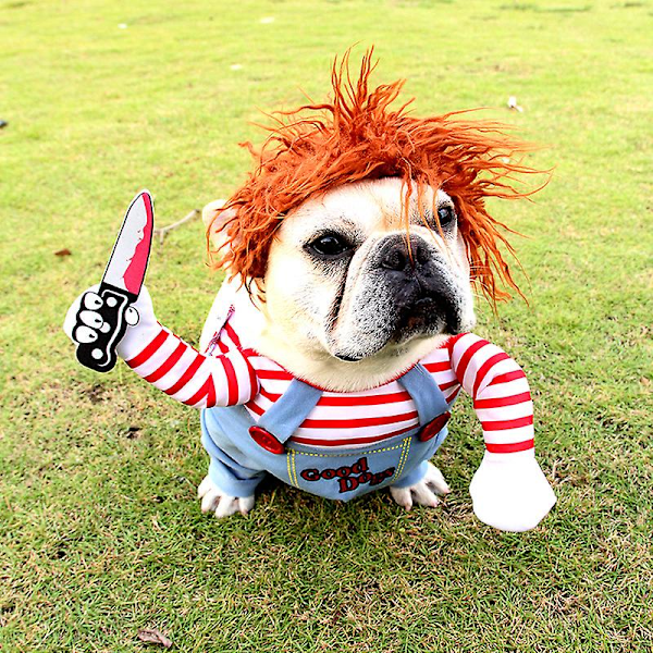 Hundkostymer Dödsdockan Chucky Kläder Husdjur Julfest Cos - I lager