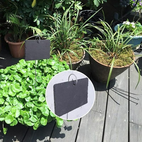 10 stk skifer plantetiketter for planter, hageplante markører, naturlige etiketter med metallpinner og krittpenner