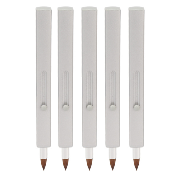 5 st läppborstar Retractable, bärbar, mångsidig nylon med enkel ände, grått skal