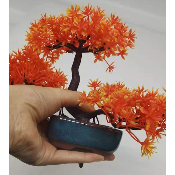 Rektangulær kinesisk bonsaikrukke mørkegrøn glaseret planter