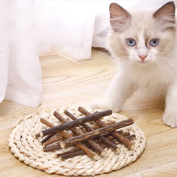 10 st katt tuggpinnar kattmynta leksak kattunge tuggleksak trä