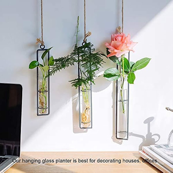 Forplantningsrør Væghængende Plantepotter Sæt af 6 Glasseam Planteforplantningsstationer Væghængende Glasplantepotte Terrarium Glas Propogation Vase til Blomster Indendørs Black 1