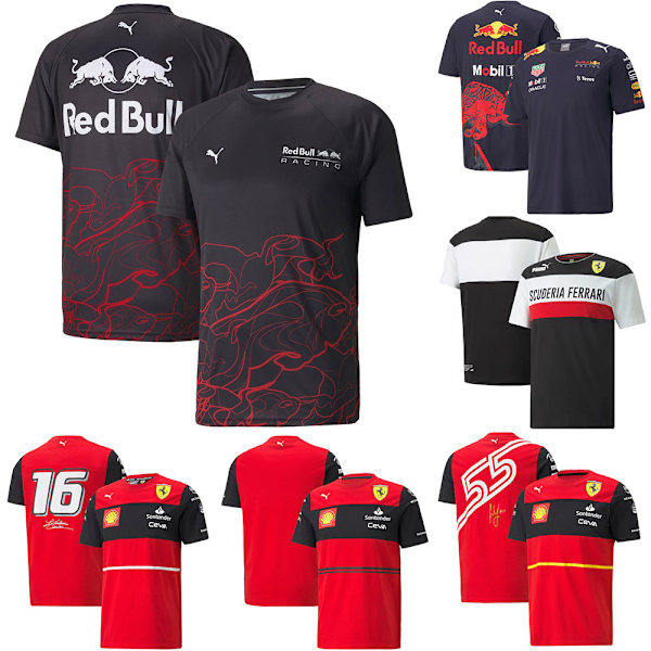 Oracle Red Bull Racing 2024 Officiell Team Kortärmad Topp Herr A A XL