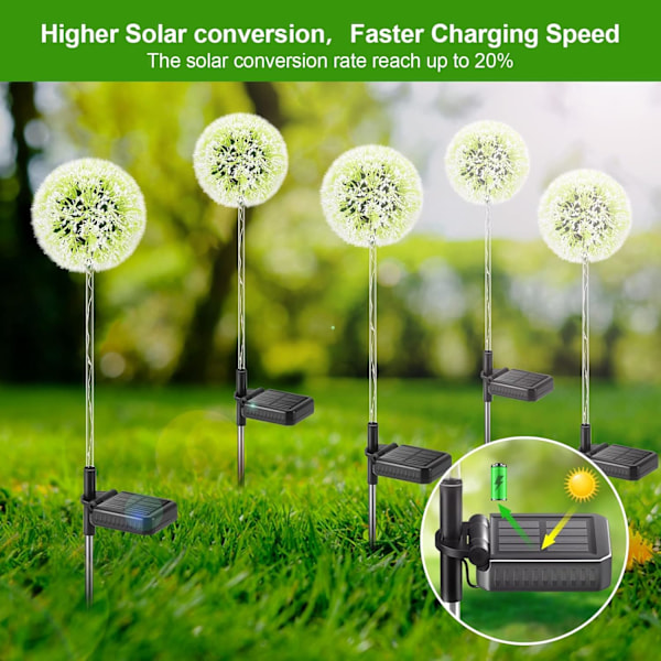 Utendørs solcellelamper Dandelion solcellelamper (2 stk) med Colo